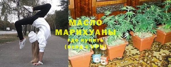 крисы Магас
