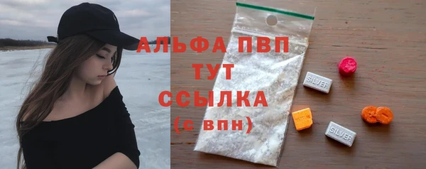 крисы Магас