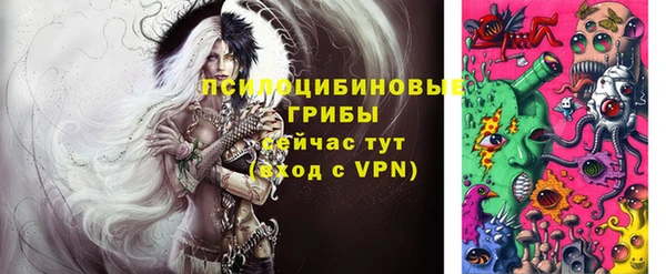крисы Магас