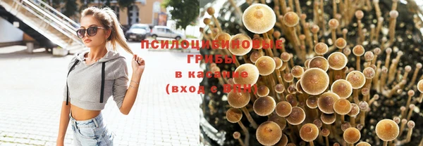 скорость Майский