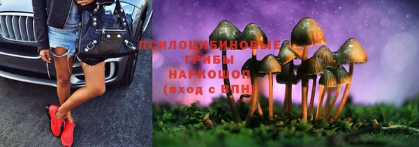 крисы Магас